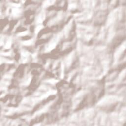Novo Machado Terrain Map
