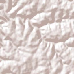 Braga Terrain Map