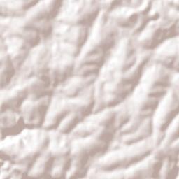 Sede Nova Terrain Map