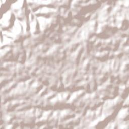 Erechim Terrain Map