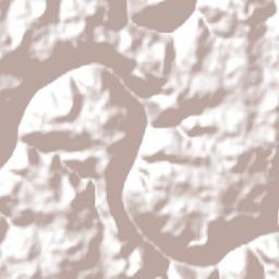 Celso Ramos Terrain Map