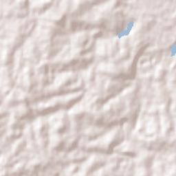 Forest Lake Terrain Map