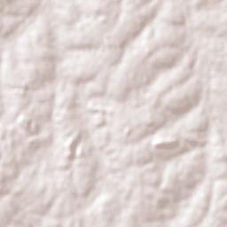San Carlos Terrain Map