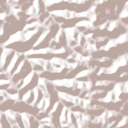 Paim Filho Terrain Map