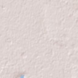 Allanridge Terrain Map