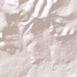 Newcastle Terrain Map