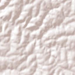 Coronel Bicaco Terrain Map