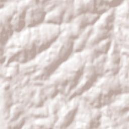 Santa Rosa Terrain Map