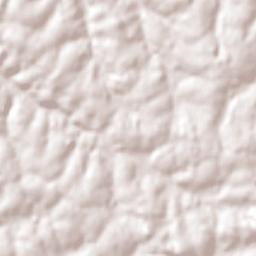 Inhacorá Terrain Map