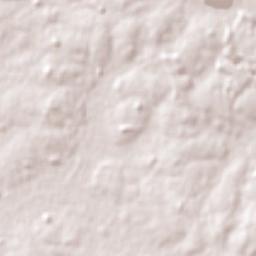 Gobernador Virasora Terrain Map