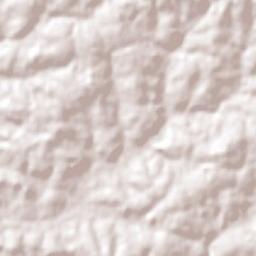 Ubiretama Terrain Map