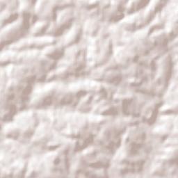 Senador Salgado Filho Terrain Map