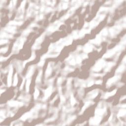 Nova Boa Vista Terrain Map