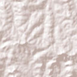 Salvador das Missões Terrain Map