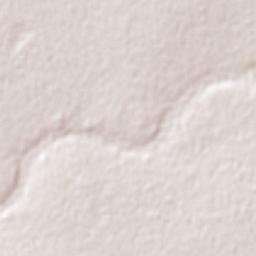 Warrenton Terrain Map