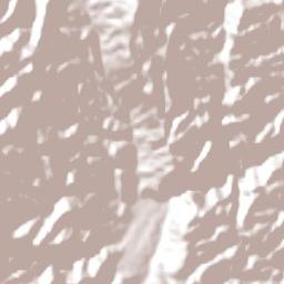 El Rodeo Terrain Map