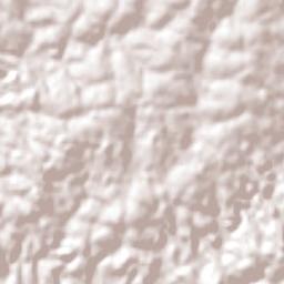 Condor Terrain Map