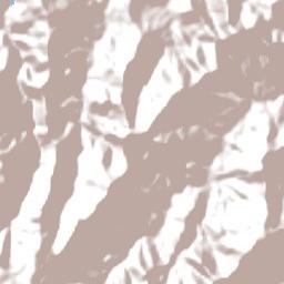 Tallebudgera Valley Terrain Map