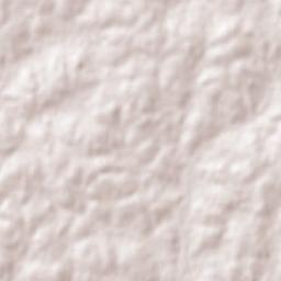 Garruchos Terrain Map