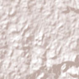 Caseiros Terrain Map