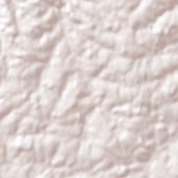 Coronel Barros Terrain Map