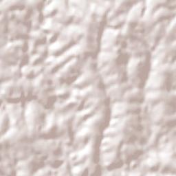 Santo Antônio do Planalto Terrain Map