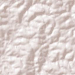 Ernestina Terrain Map