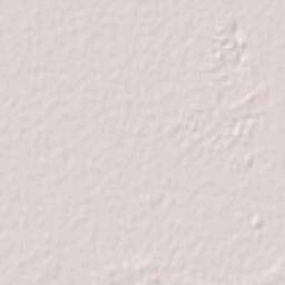Departamento de Bella Vista Terrain Map