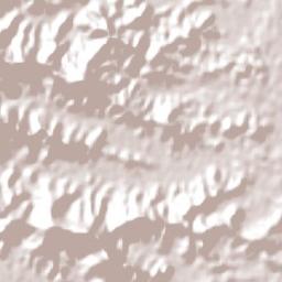 Ocean Shores Terrain Map