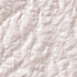 Eugênio de Castro Terrain Map