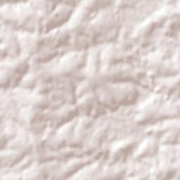 Selbach Terrain Map