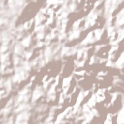 Camargo Terrain Map