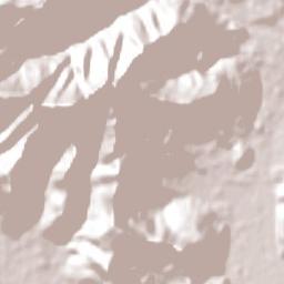 Morro Grande Terrain Map