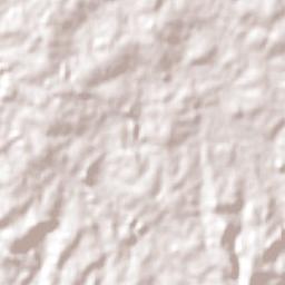 Alto Alegre Terrain Map