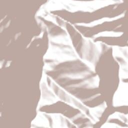 Alto del Carmen Terrain Map