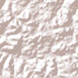 Flores da Cunha Terrain Map