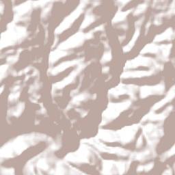 Muçum Terrain Map