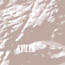 Praia Grande Terrain Map