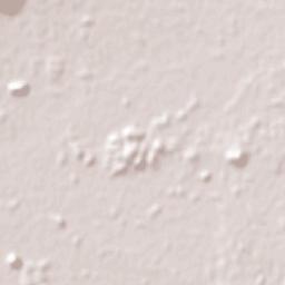 São João do Sul Terrain Map