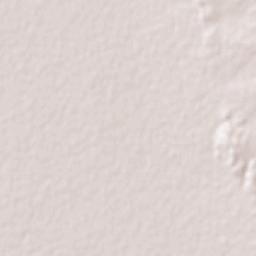 Recreo Terrain Map