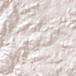 São Francisco de Paula Terrain Map