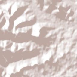 Forquetinha Terrain Map