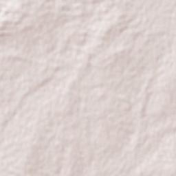 Menzies Terrain Map