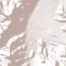 La Higuera Terrain Map