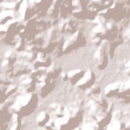 Toropi Terrain Map