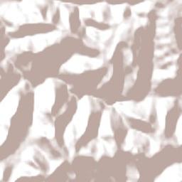Morro Reuter Terrain Map