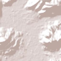 Dona Francisca Terrain Map