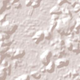 São Sebastião do Caí Terrain Map