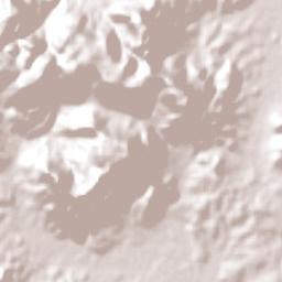 São João do Polêsine Terrain Map