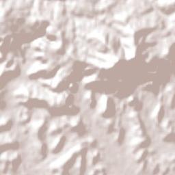 Novo Hamburgo Terrain Map